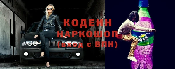 индика Белокуриха