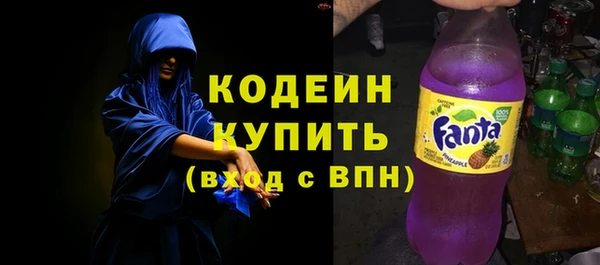 индика Белокуриха