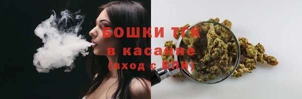 индика Белокуриха