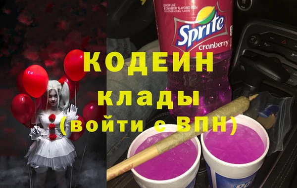 индика Белокуриха